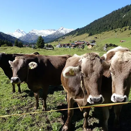 Bed & Breakfast Waldhof Lech am Arlberg