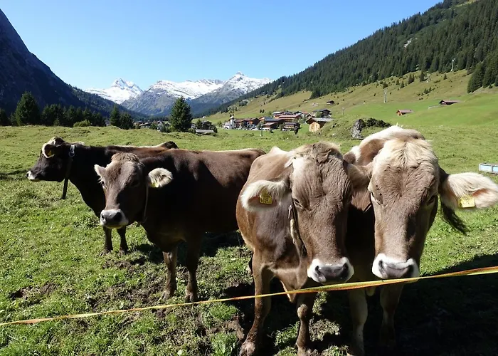 Frühstückspension Waldhof Lech am Arlberg